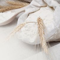 Quality Wheat Flour for Bread/Wheat four for baking,/White Wheat flour