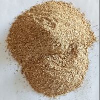 Dried Seaweed Powder100% Pure Kelp Meal for Animal Feed