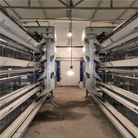 chicken animal cage, Cage automatic chicken, automatic battery cage system for chickens