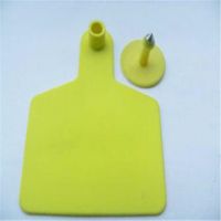 77*110mm large size cow ear tag