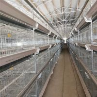 chicken animal cage,Cage automatic chicken, automatic battery cage system for chickens