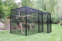 Large aviary coop / Large parrot cage