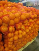 Fresh Navel and Valencia Oranges
