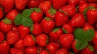 Fresh Strawberry Fruits!