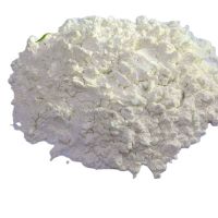 Food grade Sodium Caseinate powder  for sale