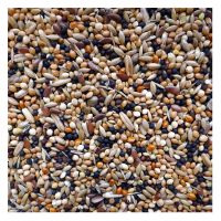 Ukrainian Factory Supplies Best Selling Parrot Mixed Food for Bird Feed, Seeds For Wholesale Finches And Exotic Birds