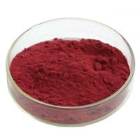 100% Organic Beetroot Powder for sale