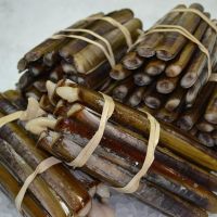 Live Razor Clams in Shell for sale