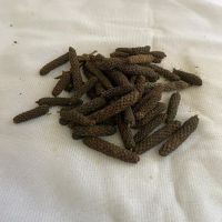 Dried Long Pepper, Pipli Seeds, Black Pepper