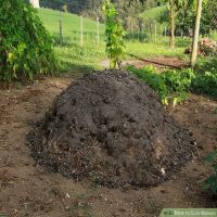 cow dung manure for sale cheap price