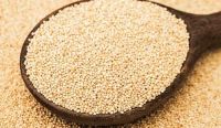 Top Quality Amaranth Grains New Crop Year