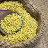 Red & Yellow Millets with Cheapest Price