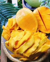 Soft-Dried Mango Fruit is Made Ffrom 100% fresh Mango 