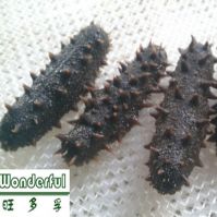 Wholesale dry sea cucumber for sale