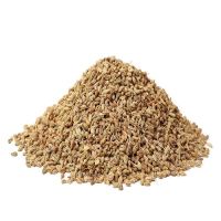 Ajwain Seeds for sale