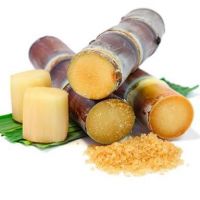 Sweet sugarcane for sale