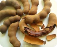 Quality Tamarind With Seed