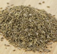 High quality supply spice dill seeds for sale