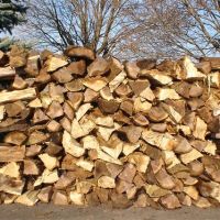 Best High Quality Oak Dried Firewood for sale