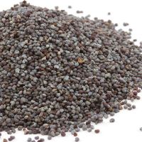 Top Quality Poppy Seeds for sale