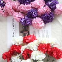 High quality carnation Flowers