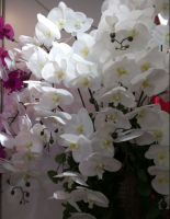 high quality real touch orchid Flowers