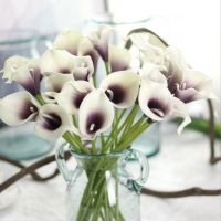 Fresh flower callas lily