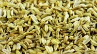 fennel ground seeds powder, flakes, fennel ground AROMATIC FENNEL POWDER seasoning raw material Supplier wholesales foeniculum