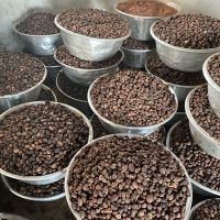 Shea Nuts High Quality Palm Kernel Shell, Garcinia Kola TOP QUALITY Best Grade West African Countries Quality Dry Raw
