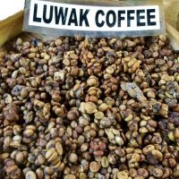 Kopi Luwak / Civet Coffee arabica 100% original thai premium quality roasted coffee bean organic product of Thailand