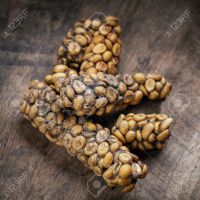 Arabica Kopi Luwak or Civet Coffee beans