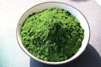 Broken Cell-Wall Bulk High Quality Organic Chlorella Vulgaris powder