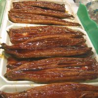 Smoked eel fish for sale
