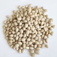 Wholesale Chinese Low Price White Navy Kidney Beans
