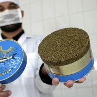 Best Quality Delicious Taste Russian Sturgeon Black Roe Caviar