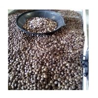 Vietnam dried sachi inchi seeds with high quality/cheap price/high nutrition
