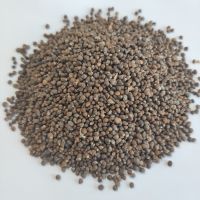 New crop market price perilla seeds