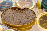 High Grade Hybrid Sturgeon Caviar Golden(sturgeon eggs)