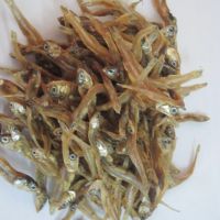 Dried Anchovy Fish For Sale