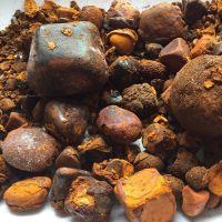 100% Natural Top Quality Ox Gallstones Cattle Gallstones Cow Gallstones