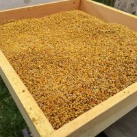 South African Bee Pollen for Sale