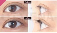 Otvena Eyelash Enhancer  Eyebrow Growth Serum   Private Label Eyelansh