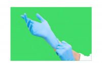 Nitrile Gloves (100pcs)