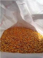 YELLOW MAIZE- NON GMO FOR SALE