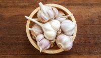 Pure Fresh White Garlic for sale