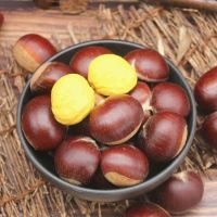 new season small bag packaged Organic Roasted Chestnuts with shell