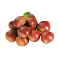 new season small bag packaged Organic Roasted Chestnuts with shell