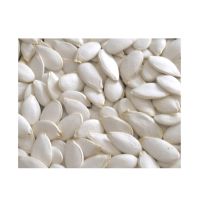 Quality Natural Snow White Pumpkin Seeds from Bulk Supplier
