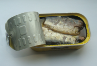 Canned sardine in