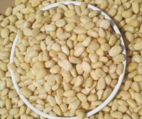 Raw pine nut kernels prices